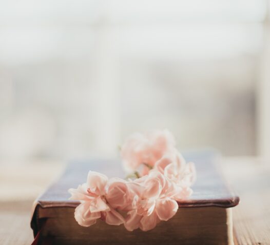 En gammal bok med rosa blommor placerade ovanpå.
